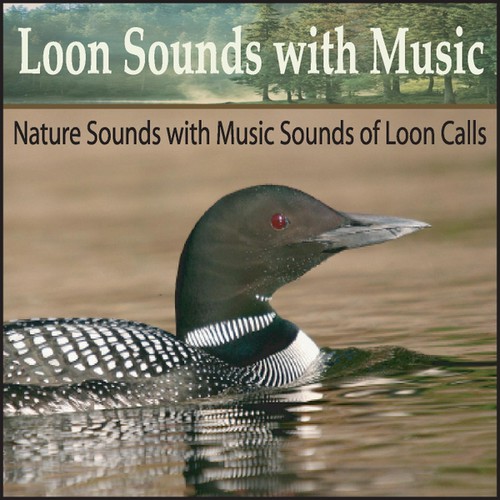 Nature Sounds And Music Radio Listen to Steven Snow, Free on Pandora